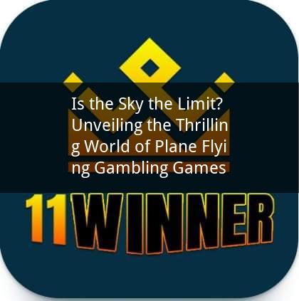 Is the Sky the Limit? Unveiling the Thrilling World of Plane Flying Gambling Games