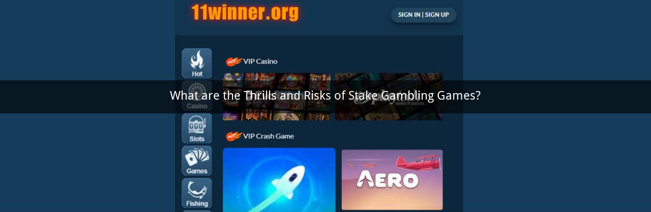 What are the Thrills and Risks of Stake Gambling Games?